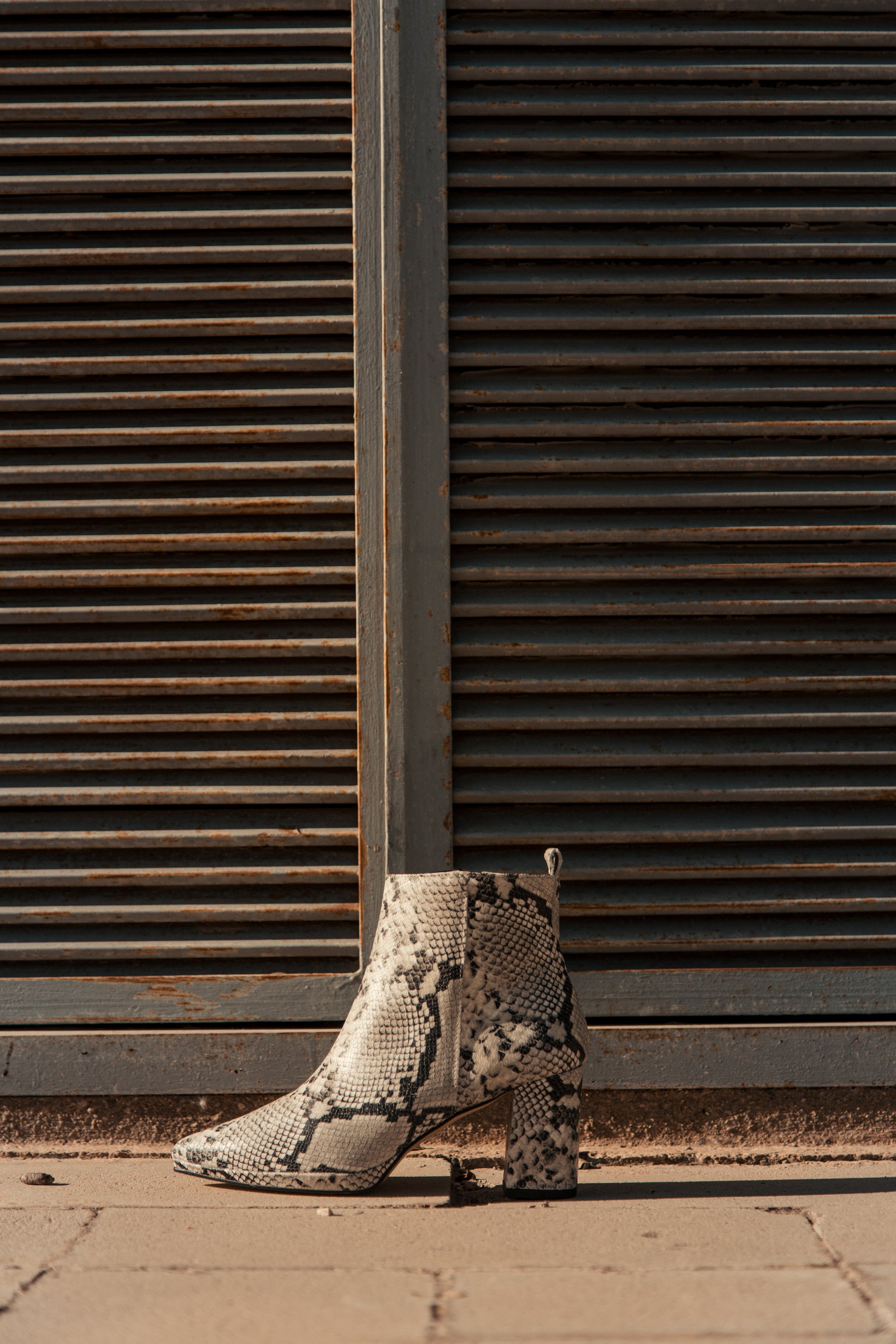 BOTIN BEGOÑA SERPIENTE BLANCA/NEGRA